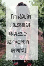 百花湖镇：纵深推进环境整治 精心绘就宜居画卷