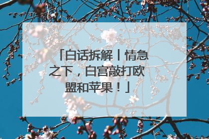 白话拆解丨情急之下，白宫敲打欧盟和苹果！