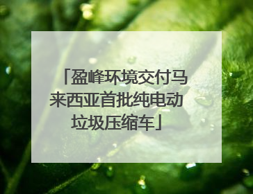 盈峰环境交付马来西亚首批纯电动垃圾压缩车