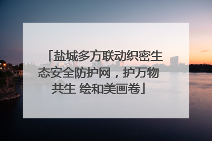 盐城多方联动织密生态安全防护网，护万物共生 绘和美画卷