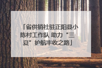省供销社驻正阳县小陈村工作队 助力“三夏”护航丰收之路