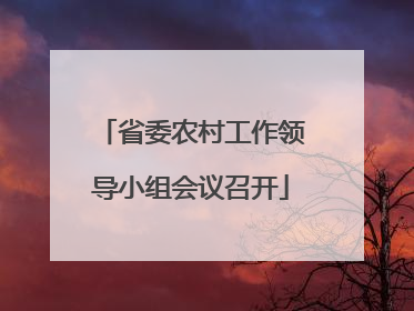 省委农村工作领导小组会议召开