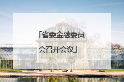 省委金融委员会召开会议