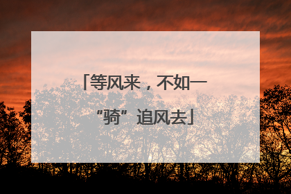 等风来，不如一“骑”追风去