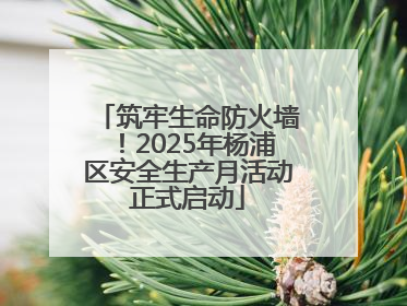 筑牢生命防火墙！2025年杨浦区安全生产月活动正式启动