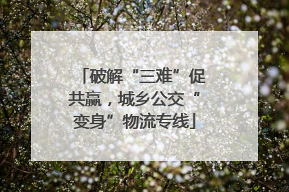 破解“三难”促共赢，城乡公交“变身”物流专线
