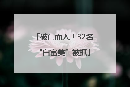破门而入！32名“白富美”被抓
