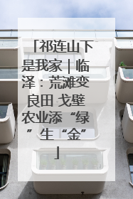 祁连山下是我家｜临泽：荒滩变良田 戈壁农业添“绿”生“金”