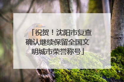 祝贺！沈阳市复查确认继续保留全国文明城市荣誉称号