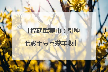 福建武夷山：引种七彩土豆喜获丰收