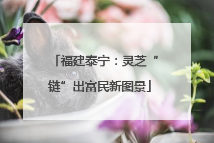 福建泰宁：灵芝“链”出富民新图景
