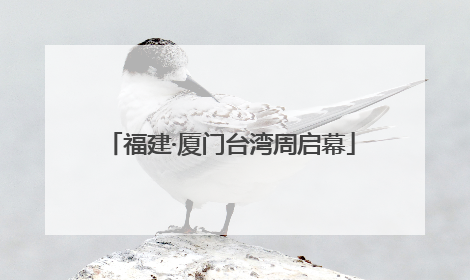 福建·厦门台湾周启幕