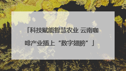科技赋能智慧农业 云南咖啡产业插上“数字翅膀”