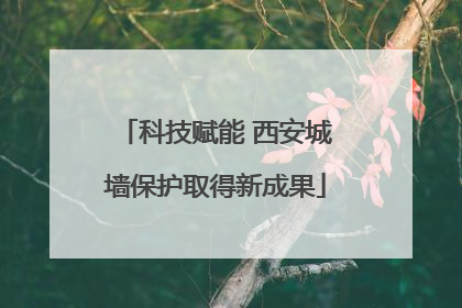 科技赋能 西安城墙保护取得新成果