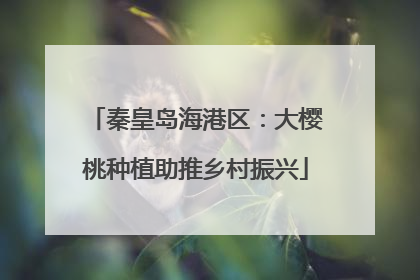 秦皇岛海港区：大樱桃种植助推乡村振兴
