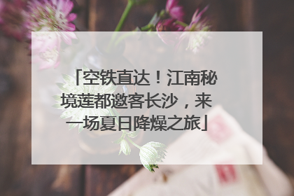 空铁直达！江南秘境莲都邀客长沙，来一场夏日降燥之旅