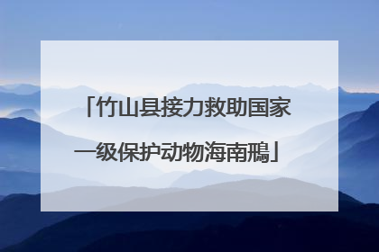 竹山县接力救助国家一级保护动物海南鳽