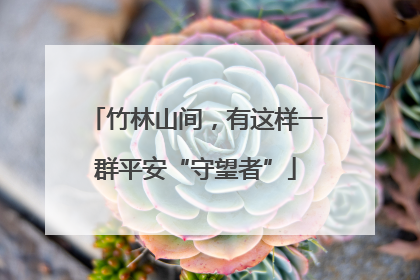 竹林山间，有这样一群平安“守望者”