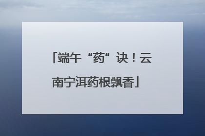 端午“药”诀！云南宁洱药根飘香