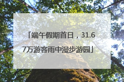 端午假期首日，31.67万游客雨中漫步游园