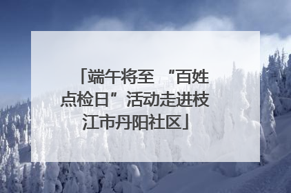 端午将至 “百姓点检日”活动走进枝江市丹阳社区