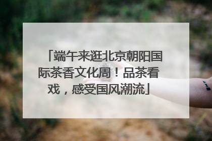 端午来逛北京朝阳国际茶香文化周！品茶看戏，感受国风潮流