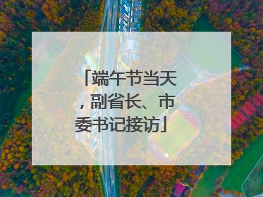 端午节当天，副省长、市委书记接访