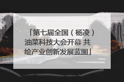 第七届全国（杨凌）油菜科技大会开幕 共绘产业创新发展蓝图