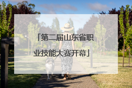 第二届山东省职业技能大赛开幕