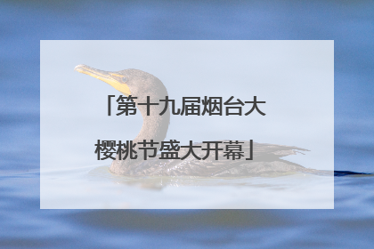 第十九届烟台大樱桃节盛大开幕