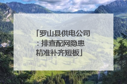 罗山县供电公司：排查配网隐患 精准补齐短板