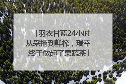 羽衣甘蓝24小时从采摘到鲜榨，瑞幸终于做起了果蔬茶