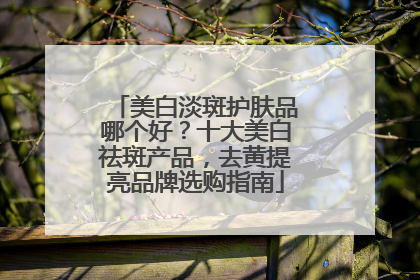 美白淡斑护肤品哪个好？十大美白祛斑产品，去黄提亮品牌选购指南