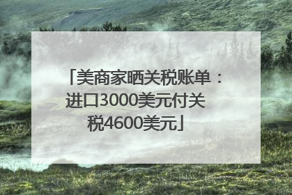 美商家晒关税账单：进口3000美元付关税4600美元