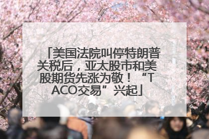 美国法院叫停特朗普关税后，亚太股市和美股期货先涨为敬！“TACO交易”兴起