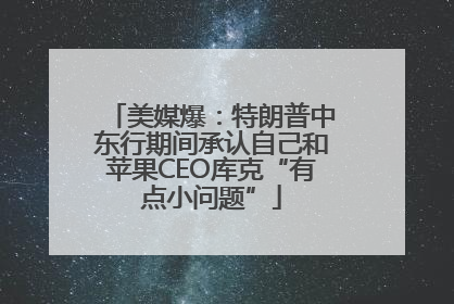 美媒爆：特朗普中东行期间承认自己和苹果CEO库克“有点小问题”
