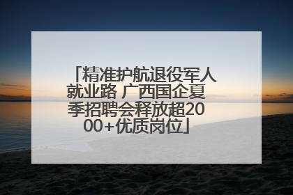 精准护航退役军人就业路 广西国企夏季招聘会释放超2000+优质岗位