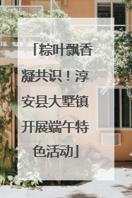 粽叶飘香凝共识！淳安县大墅镇开展端午特色活动