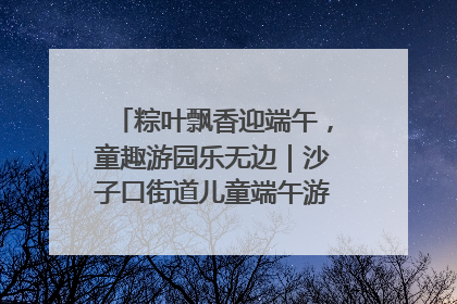 粽叶飘香迎端午，童趣游园乐无边｜沙子口街道儿童端午游园活动圆满落幕
