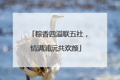粽香四溢联五社，情满浦沅共欢颜