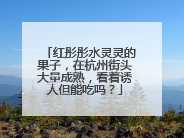 红彤彤水灵灵的果子，在杭州街头大量成熟，看着诱人但能吃吗？