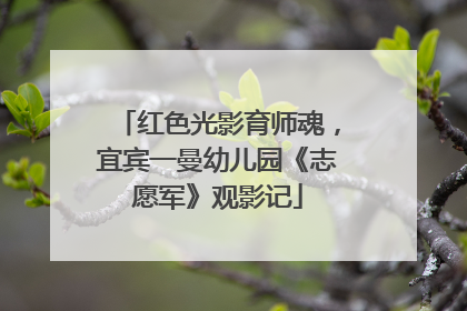 红色光影育师魂，宜宾一曼幼儿园《志愿军》观影记