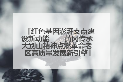 红色基因澎湃支点建设新动能——黄冈传承大别山精神点燃革命老区高质量发展新引擎