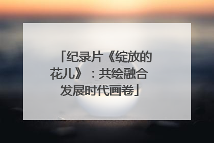 纪录片《绽放的花儿》：共绘融合发展时代画卷