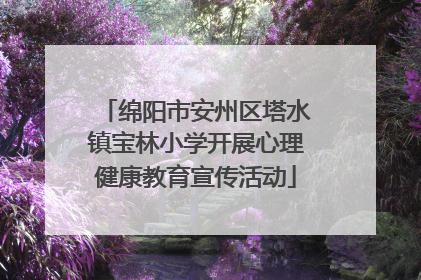 绵阳市安州区塔水镇宝林小学开展心理健康教育宣传活动