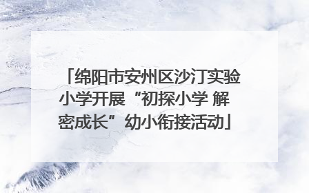 绵阳市安州区沙汀实验小学开展“初探小学 解密成长”幼小衔接活动