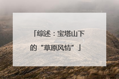 综述：宝塔山下的“草原风情”
