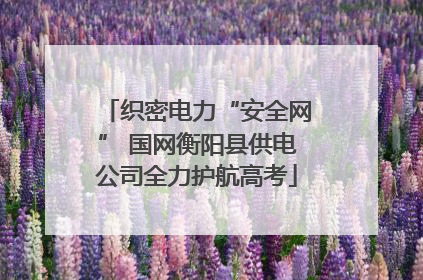 织密电力“安全网” 国网衡阳县供电公司全力护航高考
