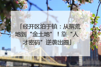 经开区泊于镇：从撂荒地到“金土地”！靠“人才密码”逆袭出圈
