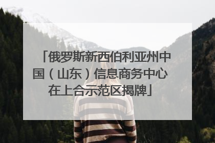 俄罗斯新西伯利亚州中国（山东）信息商务中心在上合示范区揭牌
